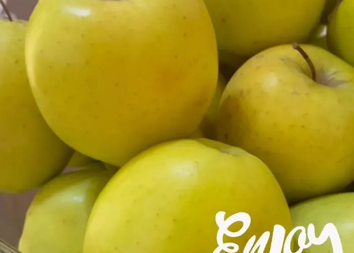 Arsenal 2* 네세부르