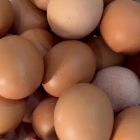 Arsenal Отель 2*